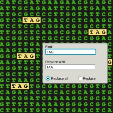 Graphic: Christine Daniloff